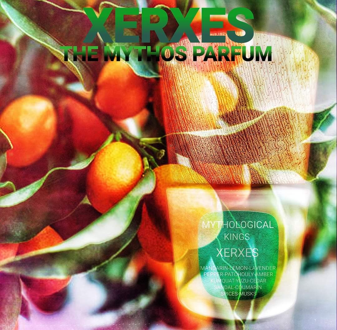 XERXES Parfum Intense 100ml