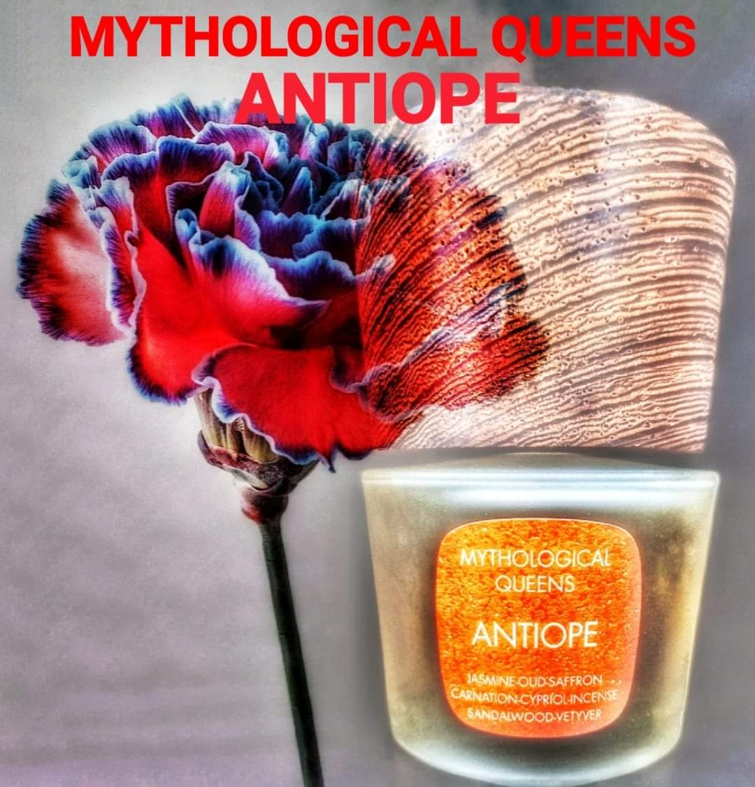 ANTIOPE Parfum Intense 100ml