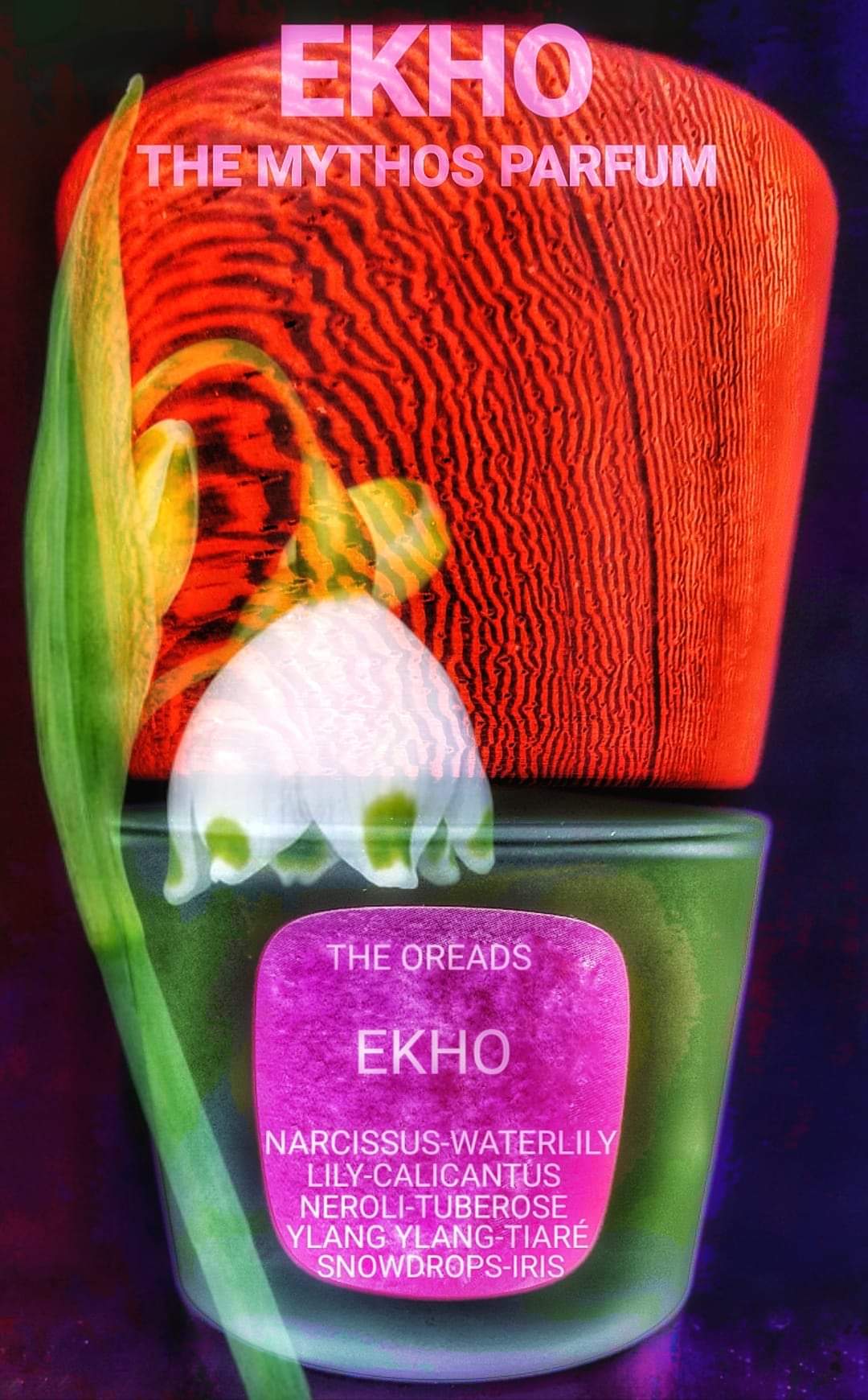 EKHO Parfum Intense 100ml