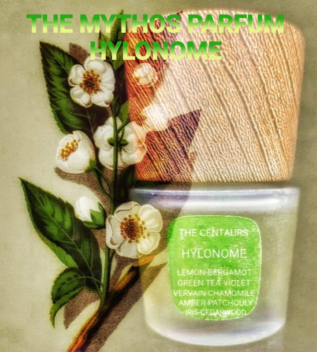 HYLONOME Parfum Intense 100ml
