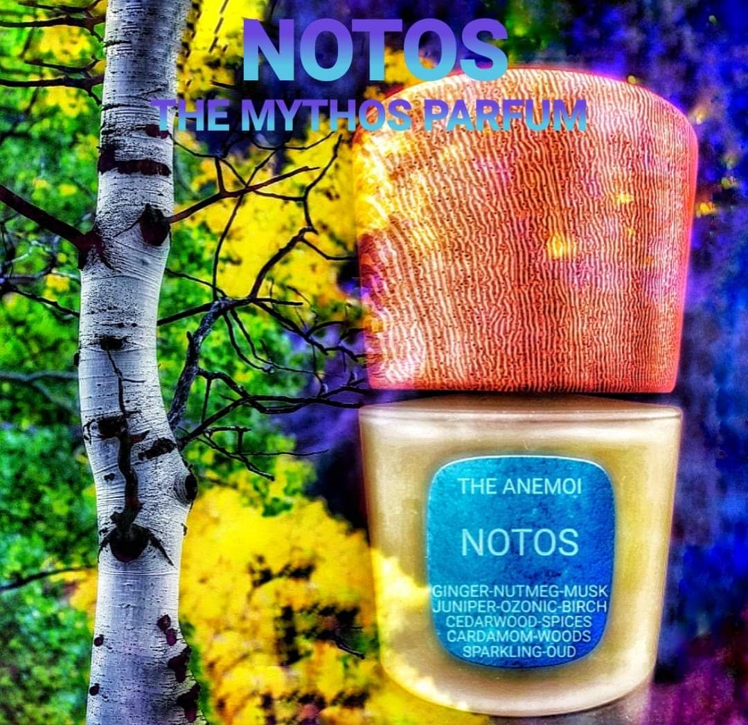 NOTOS Parfum Intense 100ml
