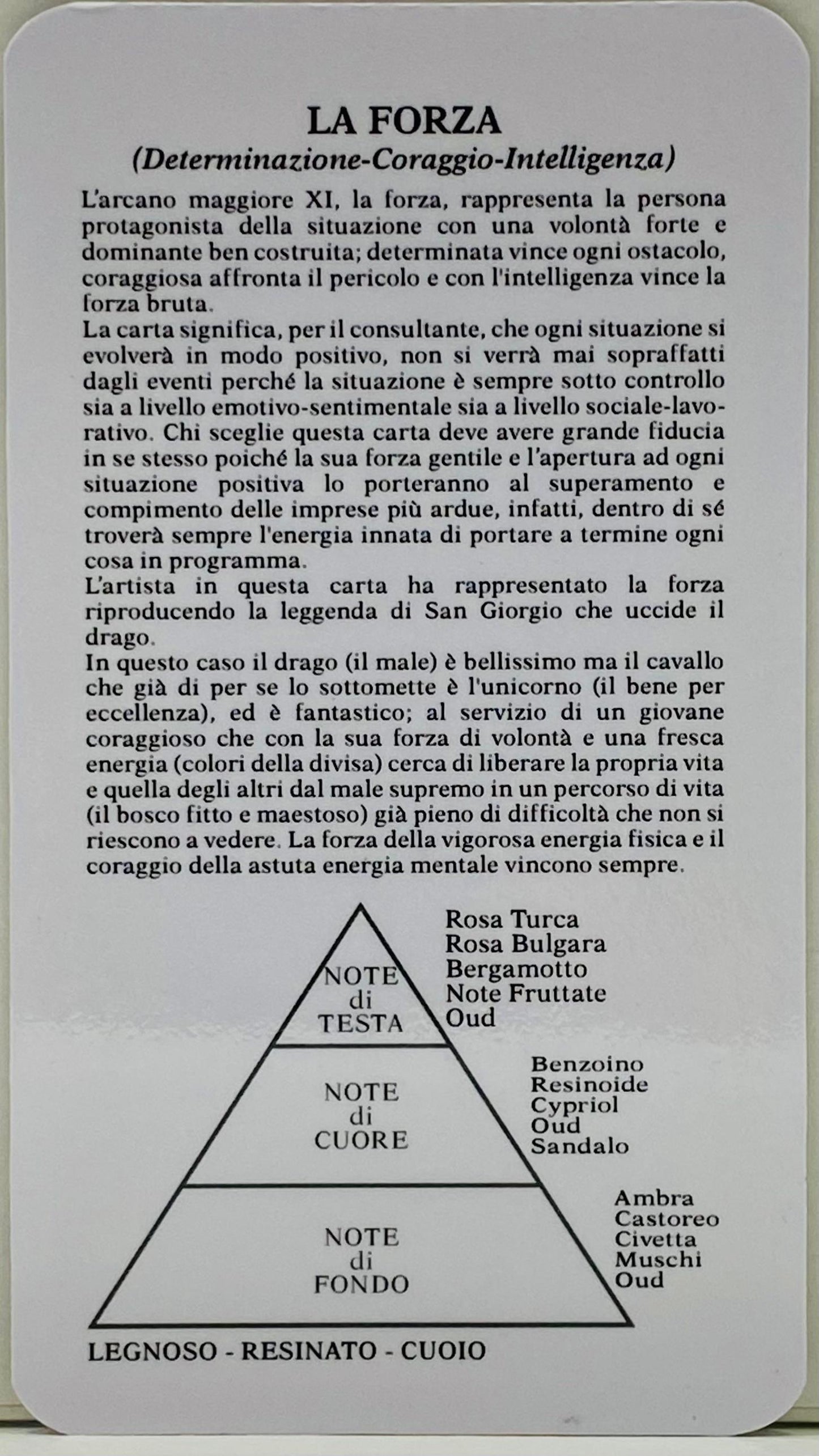 THE STRENGHT, LA FORZA